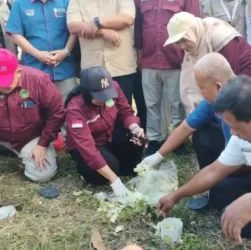 kkn berdampak - ilustrasi berita Unisla Gandeng UTHM Malaysia dan Untag untuk Wujudkan KKN Berdampak