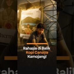 kopi canaya kamojang - ilustrasi berita Rahasia di Balik Kopi Canaya Kamojang: Perpaduan Kearifan Lokal dan Teknologi…