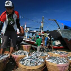 perlindungan nelayan - ilustrasi berita Perlindungan Nelayan Kunci Ketahanan Pangan, Harus Jadi Prioritas