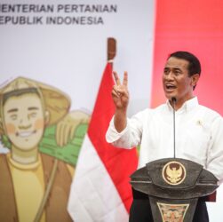 harga pangan - ilustrasi berita Harga Pangan Bergerak, Produksi dan Pasokan Terus Diawasi